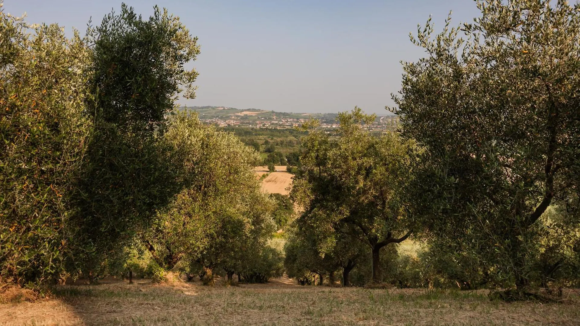 Bed and Breakfast Il Poggianino Poggio Berni